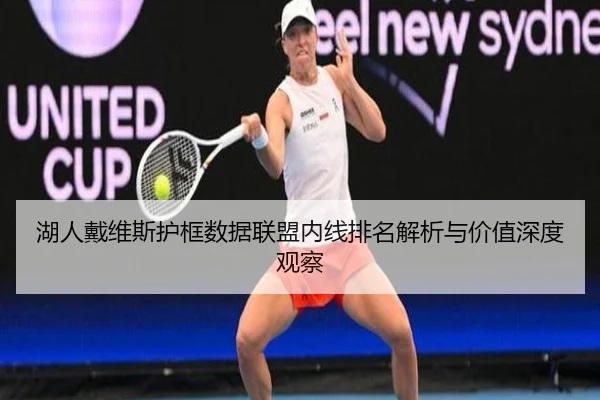 湖人戴维斯护框数据联盟内线排名解析与价值深度观察